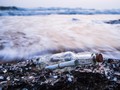 Surat Botol Pelajar Jepang Ditemukan di Hawaii Usai 37 Tahun
