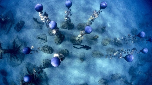 FOTO: Jelajah Taman Patung Bawah Laut Siprus