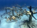 FOTO: Jelajah Taman Patung Bawah Laut Siprus