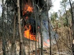 Penampakan Kobaran Api Sumur Minyak Ilegal di Jambi