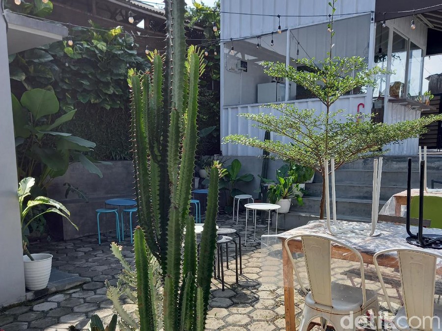 Coffeeshop bertema kebun dan tanaman / kopi febi