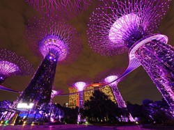 Masukkan ke Program Nasional, Singapura Makin Mantap Akui Vaksin Sinovac?