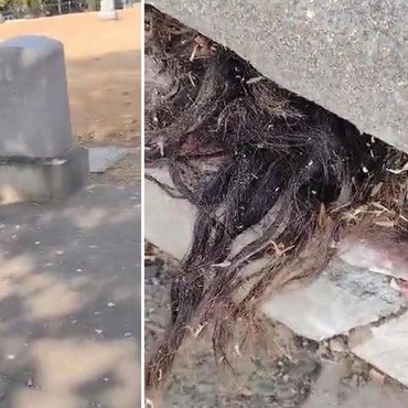 Rambut Panjang Keluar dari Kuburan Berusia 100 Tahun, Bikin Merinding!