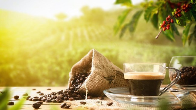 Pelaku UMKM kedai kopi berbagi cerita tentang upaya menggandeng ratusan petani kopi lokal mulai dari Aceh hingga Papua.