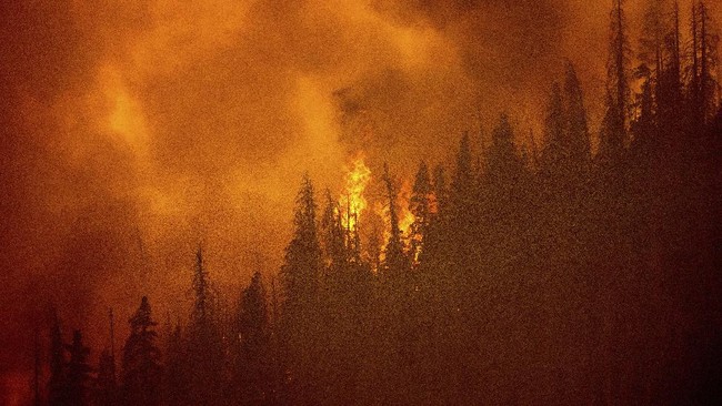 Kebakaran hutan di California, AS, masih berlanjut sejak akhir pekan lalu. Hingga awal pekan ini, total 990 hektar lahan hangus dilalap si jago merah.