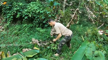 MENJADI PETANI