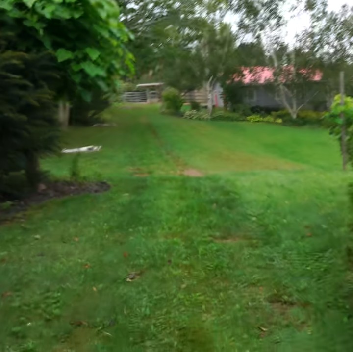 <p>Lingkungan tempat tinggal Sacha benar-benar asri nih, Bunda. Halaman-halaman yang ada di sana terlihat seperti bukit Teletubbies, ya? <em>He he he...</em> (Foto: YouTube Sacha Stevenson)</p>