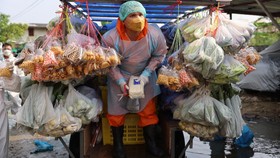 FOTO: Biksu Thailand Bagi-bagi Makanan kala Pandemi