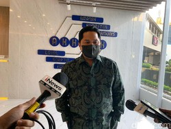 Erick Thohir Tugaskan BUMN Tanam 111 Ribu Pohon, Bisa Dipanen Warga