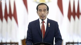 Di PBB, Jokowi Ungkap Janji RI saat Jadi Presiden G20