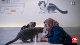 FOTO: Kencan Bareng Kucing di Kafe Kala PPKM Diperlonggar