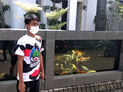 Bikin Pagar Rumah Berbentuk Kolam Ikan Koi, Pemiliknya Ikhlas Jika Kemalingan