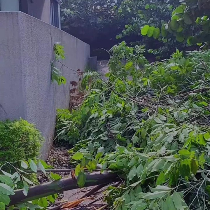 <p>Saat itu, Putri mengaku tengah berada di luar rumah bersama sang anak. Jadi, ia sangat terkejut ketika mendapatkan telpon dari sang asisten rumah tangga kalau di rumah terjadi badai. (Foto: Instagram: @putrititian)</p>