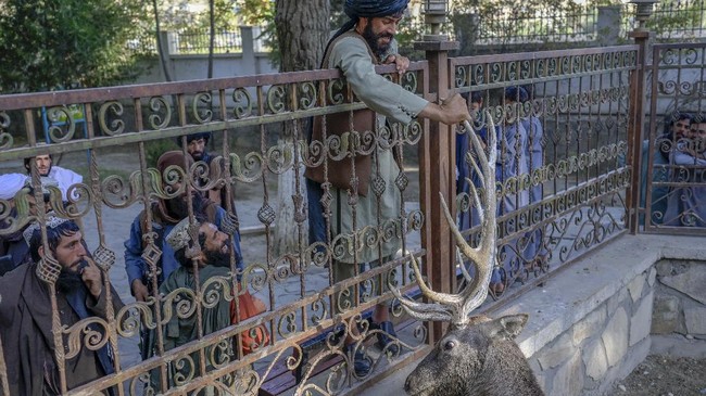 Taliban menggantung empat tubuh pencuri menggunakan crane setelah menghukum mati mereka di kota Herat, Afghanistan, Sabtu (25/9).
