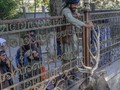 Taliban 'Pamer' Hukuman Gantung Jasad Pencuri ke Publik