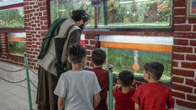 Kabul Zoo, Kebun Binatang Paling Merana dan Terhoror di Dunia