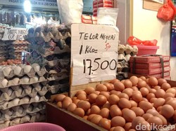 Parah! Harga Telur Makin Anjlok, Cuma Rp 17.000/Kg
