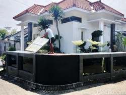 Cerita Pemilik Rumah Berpagar Kolam Ikan, Jadi Guru hingga Penghobi Koi