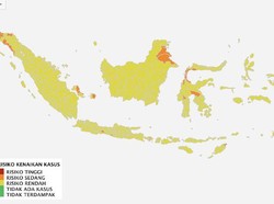 Zona Hijau COVID-19 di RI Jadi Lebih Banyak