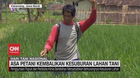 VIDEO: Asa Petani Kembalikan Kesuburan Lahan Tani