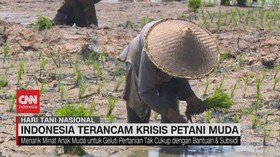 VIDEO: Indonesia Terancam Krisis Petani Muda