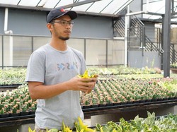 Karakteristik Petani Milenial, Adaptif Terhadap Teknologi dan Inovatif