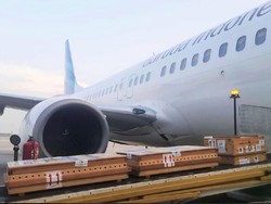 Diangkut Garuda, 15 Ton Produk Perikanan-Pertanian RI Masuk Jepang