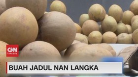 VIDEO: Buah Jadul Nan Langka