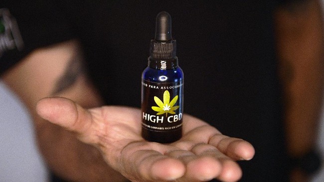 FOTO: Memanfaatkan Ganja untuk Bantu Pasien Ayan dan Autisme
