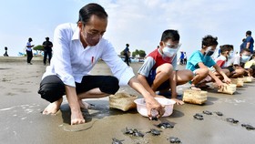 Jokowi: Membangun Indonesia tak Cukup Pulau Jawa