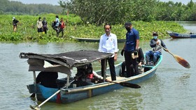 Jokowi Ingin Pamer Hutan Bakau Bali saat KTT G20 2022