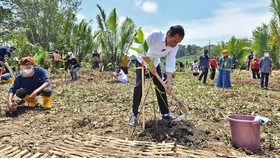 Jokowi Minta Waspada Musim Hujan & Banjir, Serukan Warga Tanam Pohon