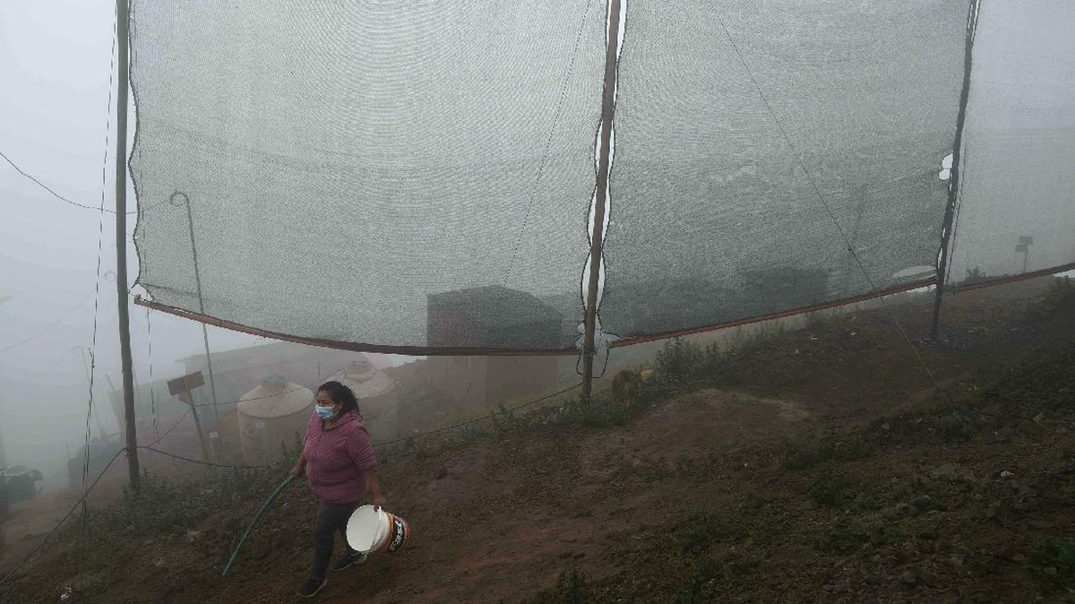 FOTO: Kabut Peru Membawa Berkah Air Bersih