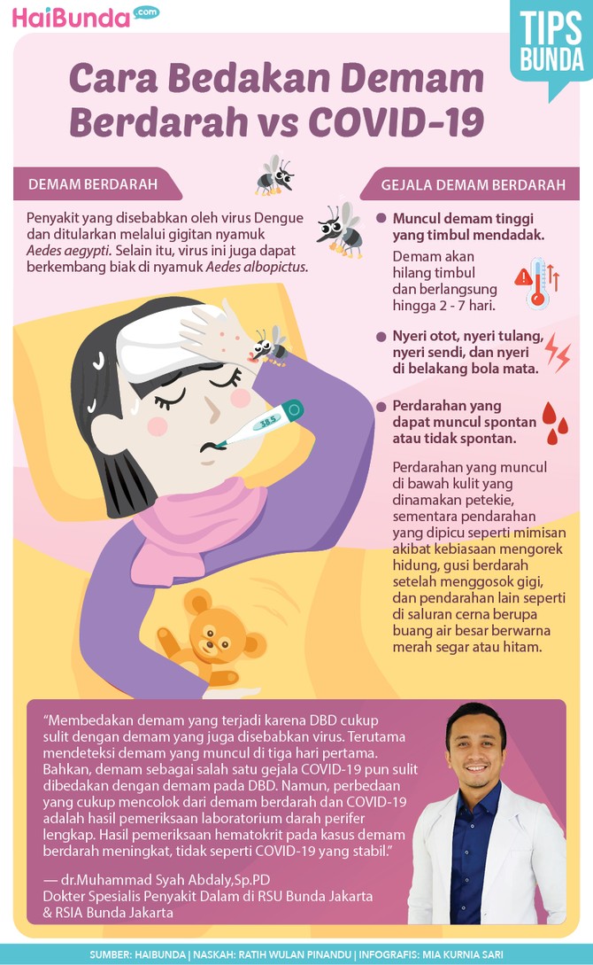 demam berdarah demam berdarah