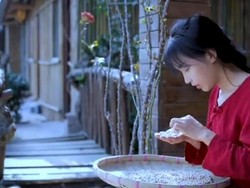 Li Ziqi Menghilang, Ini 5 Fakta YouTuber yang Hidup di Desa dan Jago Masak