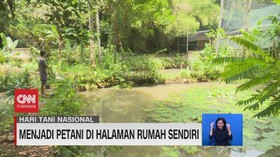 VIDEO: Menjadi Petani di Halaman Rumah Sendiri