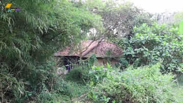 KISAH RUMAH ANGKER DI DESA CISADEA