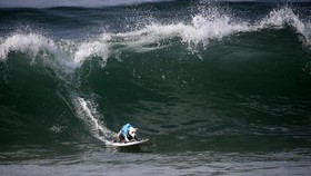 FOTO: Aksi Gemas Anjing-anjing Adu Surfing