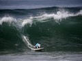 FOTO: Aksi Gemas Anjing-anjing Adu Surfing