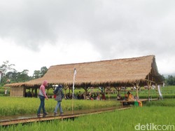 Mau Wisata Foto Hijau Royo-royo? Cobain Desa Mulyaharja