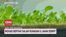 VIDEO: Inovasi Bertani di Ruang Sempit