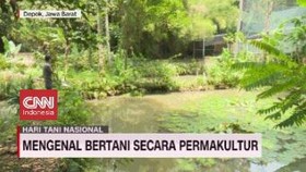 VIDEO: Mengenal Bertani Secara Permakultur