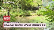 VIDEO: Mengenal Bertani Secara Permakultur