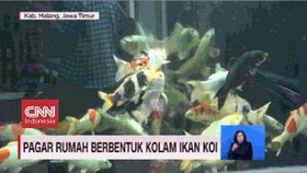 VIDEO: Pagar Rumah Berbentuk Kolam Ikan Koi