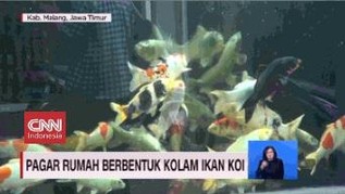 VIDEO: Pagar Rumah Berbentuk Kolam Ikan Koi