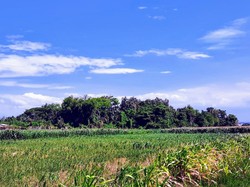 Dusun di Situbondo Ini Turun Temurun Hanya Ada 26 KK, Kok Bisa?