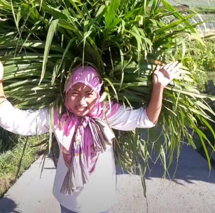 <p>"Pesan untuk petani muda, harus bangga dengan profesi kita, kita harus kerja keras dengan kemampuan kita. Yakinkanlah kepada mereka bahwa kita bisa. Intinya harus konsisten, tetap berjuang, pantang menyerah," tuturnya, dikutip dari <em>channel Youtube Novi Happy Farmer</em> pada Senin (27/9/2021) (Foto: Novi Listiana)</p>