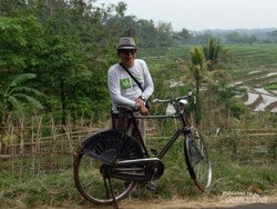 Akhir Pekan Saatnya Gowes Sepeda di Pedesaan Boyolali Lihat Sawah