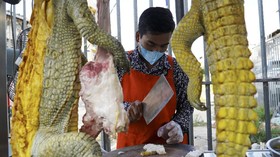 Pemerintah Thailand Dukung Konsumsi Daging Buaya Gantikan Babi
