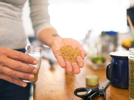 Manfaat Fenugreek untuk Payudara, Enggak Cuma Buat Booster ASI Lho Bun